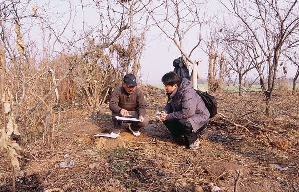 2010-01-013.jpg